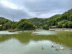 -广州市帽峰山景区