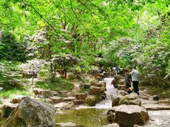 -虞山风景区