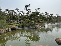 -罗红摄影艺术馆