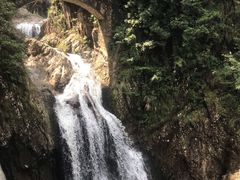 -龙湾潭国家森林公园