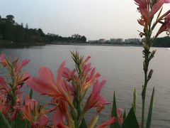 -南国桃园旅游度假区