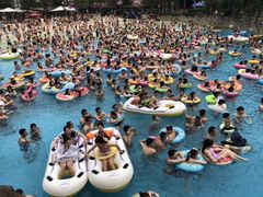-重庆海昌加勒比海水世界
