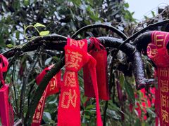 -武当山风景区-太子坡