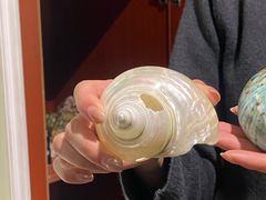 -青岛贝壳博物馆