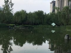 -木塔寺遗址生态公园