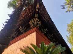 -洛阳白马寺