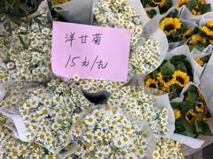 -双季花艺园艺市场(浦东店)