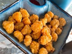 -柴犬高等学院·狗咖·柴犬售卖·宠物训练