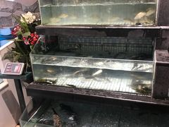 鱼-巴陵全鱼席(湖南老字号汴河街店 )