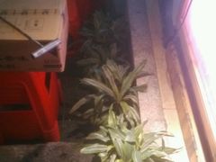 -木屋烧烤(白石洲店)
