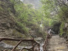 -狼牙山风景区