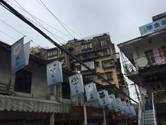 -猫咪博物馆(顶澳仔猫街店)