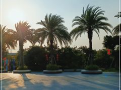 -宝安西湾红树林湿地公园