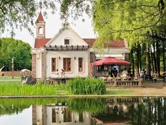 -上海共青森林公园