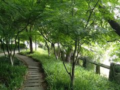 -运河游船(武林门码头)