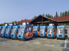 -黄海国家森林公园