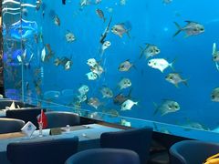 -瑞德姆美人鱼海底演艺主题餐厅(亚龙湾店)