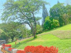 -广州市白云山风景名胜区