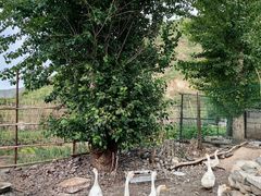 -百花人家(清水田园店)