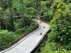 -圣淘沙天际线斜坡滑车