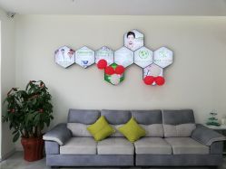 -莱可美科技美肤