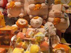 -九木杂物社(恒隆广场店)