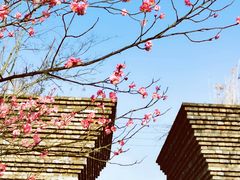 -广富林郊野公园