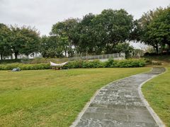 -风云岭森林公园