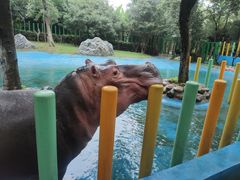 -常州淹城野生动物世界