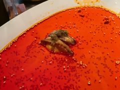 -张家卫·阳江菜·小海鲜(肥婆湾桥店)