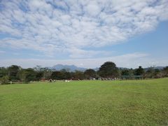 -中国科学院西双版纳热带植物园