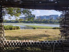 -华侨城湿地公园
