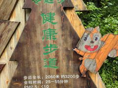 -汤旺河林海奇石景区
