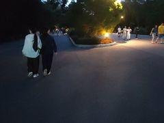-北陵公园