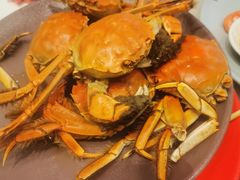 -长春富力万达文华酒店-集·味自助餐厅