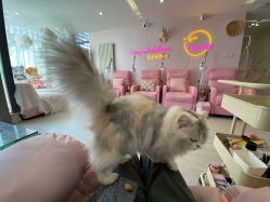 -Beauty Nails 美甲美睫皮肤管理