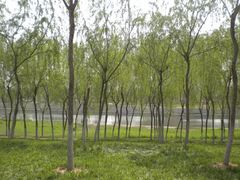 -秀水公园