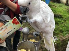-盛世牡丹苑生态文化旅游区