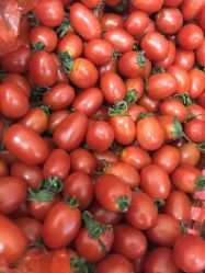 -丽都整形美容医院·全国连锁旗舰店