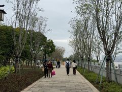 -江心屿景区