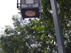-永安龟山公园