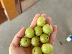 -三门江国家森林公园