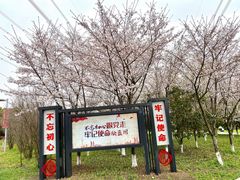 -九里河湿地公园