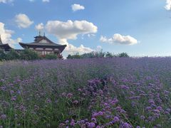 -长春北湖公园
