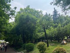 -清凉山国家森林公园