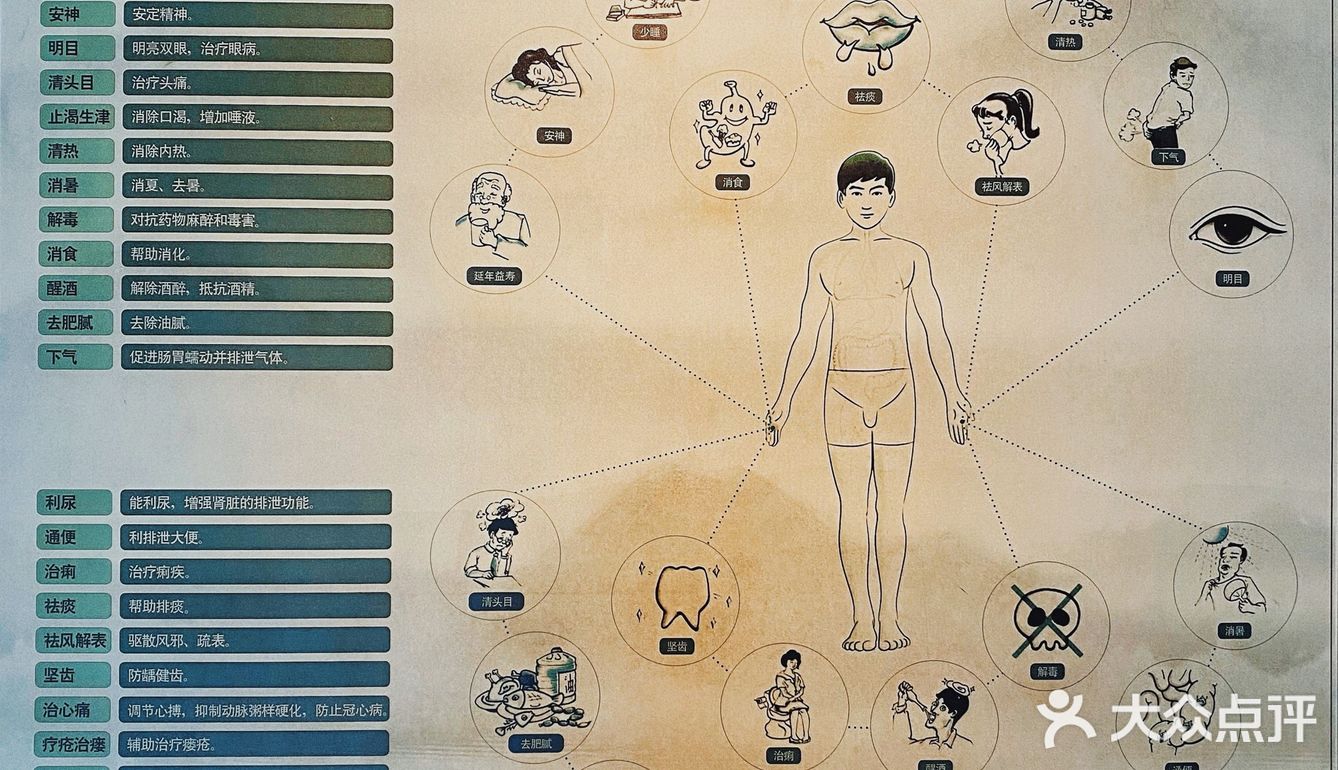 杭州游记｜茶文化主题展馆｜中国茶叶博物馆