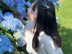 -猫米花园
