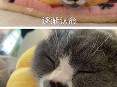 -联合动物医院(光谷诊疗中心)