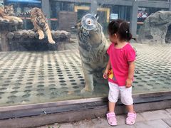 -西安秦岭野生动物园