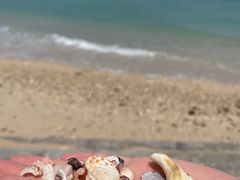 -三亚西岛海洋文化旅游区